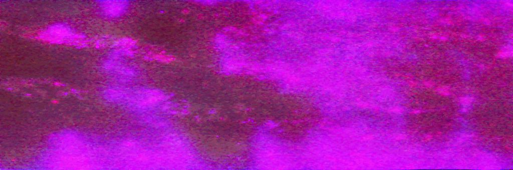 Fleurs d&rsquo;Amour