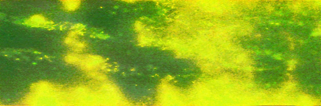 PAPA NOEL AU PAYS DU SOLEIL by&nbsp;Trapatsoum