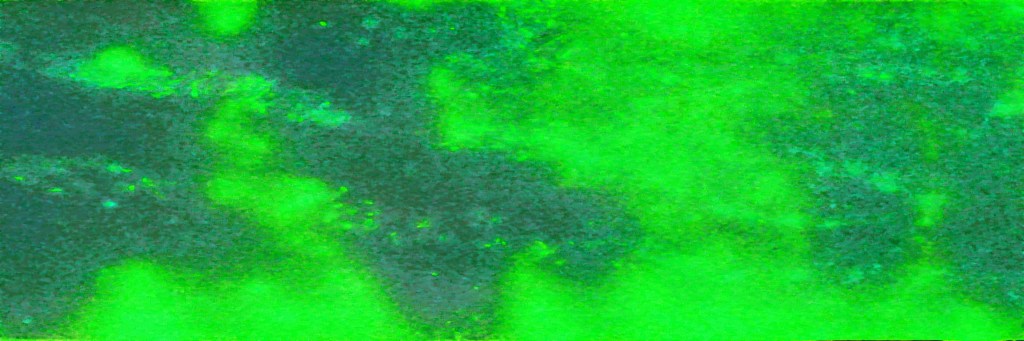 LES BOULES! by&nbsp;Garglock