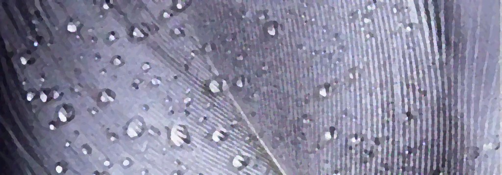 LE MOT DU JOUR by&nbsp;Garglock