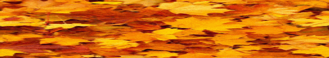 Le Jardin en&nbsp;Automne